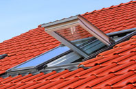 Firth roof window